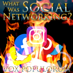 Episode Artwork for What Was Social Networking?